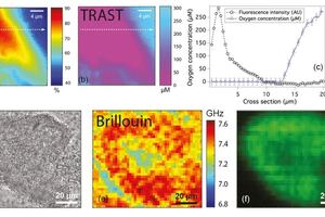 New techniques to identify physical properties of biofilms