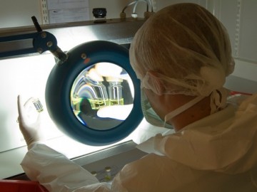 NextPharma sterile product development centre in Belgium receives AFMPS approval