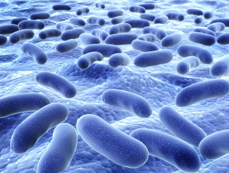 Notable contamination recall events in 2021 so far