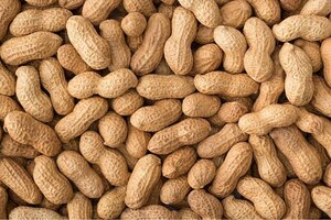 Novartis starts voluntary recall after peanut contamination scare