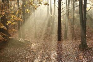 Novel nanoporous foam utilises sunlight to clean water