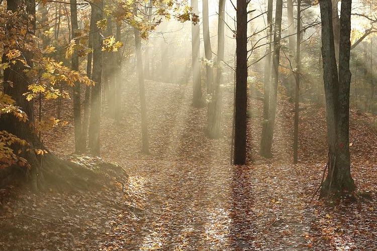 Novel nanoporous foam utilises sunlight to clean water