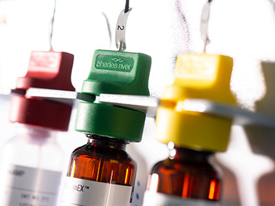 ON-DEMAND WEBINAR: Improved process performance through rapid microbiological detection methods