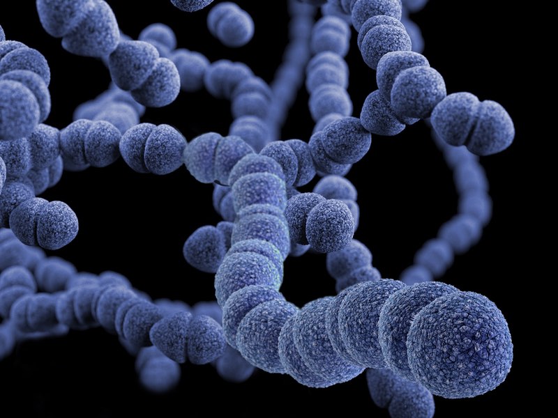 Oxygen groups key to unlocking graphene’s antimicrobial potential