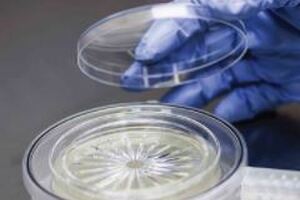 Particle Measuring Systems expands line of microbial sampling single-use products to include 100 LPM applications