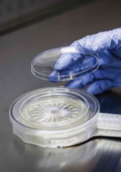 Particle Measuring Systems expands line of microbial sampling single-use products to include 100 LPM applications
