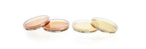 Passive air monitoring of microbial contaminants: don’t settle for second-best
