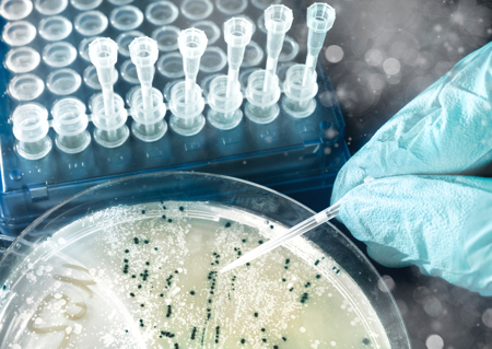 Pathogen detection gets ever faster 