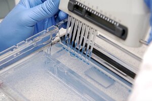 Pfizer buckles down on gene therapy with half-billion-dollar investment