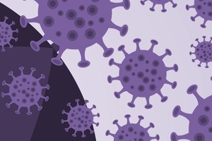 Plant viruses and viroids in cannabis production