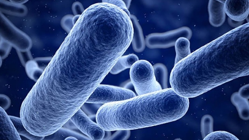 Polymers created with light to fight bacteria