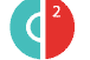 Project Engineer