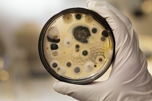 Pure Microbiology to launch sterile compounding compliance resource database