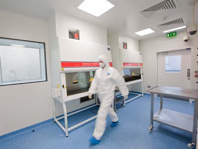 Regeneration at a Dublin stem cell facility