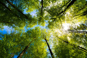 Research hub presents modelling platform to assess environmental impact of fabs