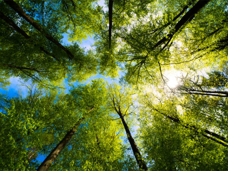 Research hub presents modelling platform to assess environmental impact of fabs