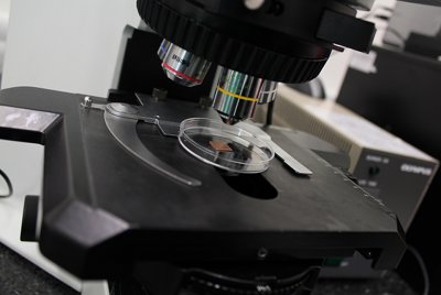 Research reveals \'halo\' effect of copper surfaces