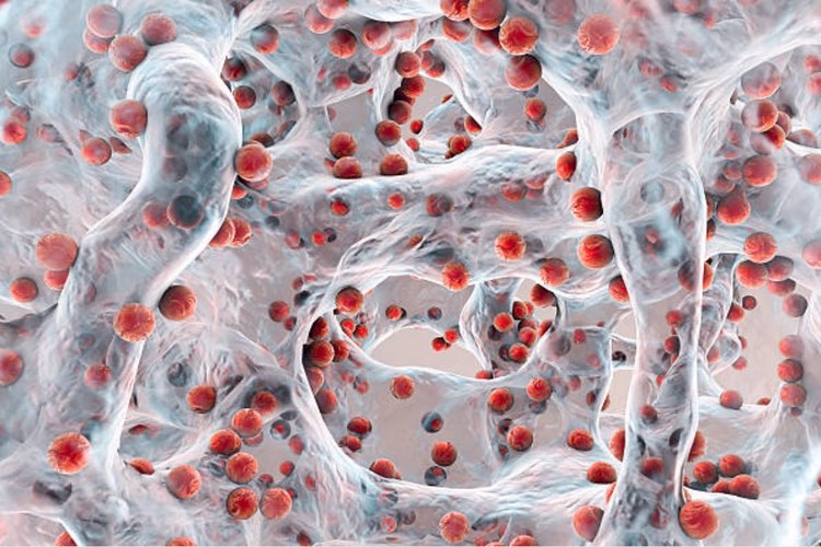 Researchers create magnetic microrobots to remove biofilms