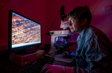 Researchers use copper to prevent the spread of respiratory viruses