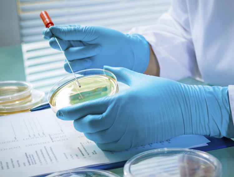 Risks of Environmental Monitoring: Microbes aren’t your only threat