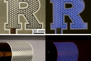 Rutgers-led team invents promising technology for killing microbes