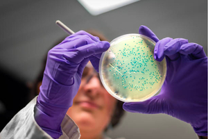 Samsung Biologics selects company to automate microbiology QC testing