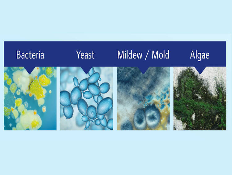 Sanitized adds water-based product to Broadtec range