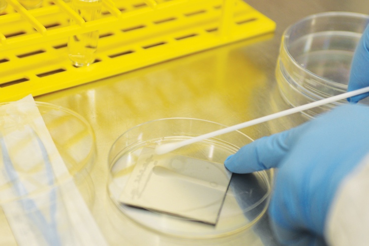 Scientific justification for monitoring indirect product contact surfaces