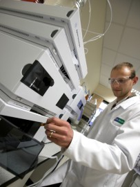 Screening for food contaminants