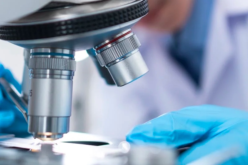 Seraxis diabetes stem cell programme meets GMP audit standards