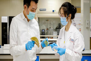 Singapore scientists develop antibacterial bandage from durian husk
