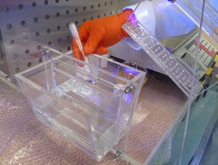Solo launches rigid acrylic Haz-Mat powder handling enclosures