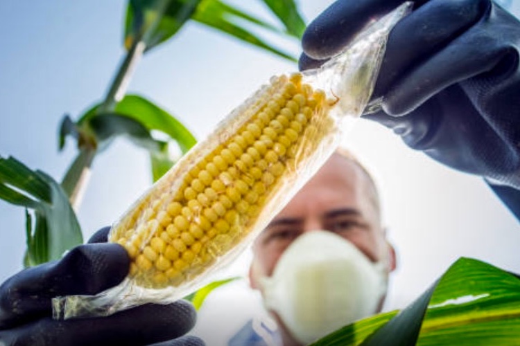 Solving a contamination crisis with the right tech