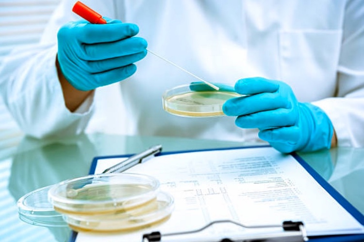 South Africa's Listeria outbreak source comes to light