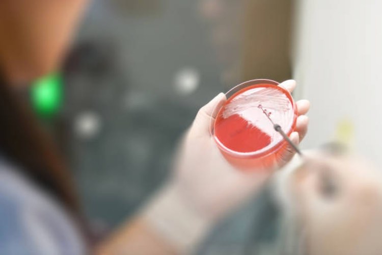 South Korea addresses AMR in manufacturing 