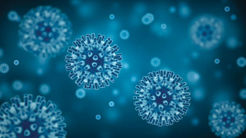 Sporicidal disinfectants: Is your product compliant with the latest testing requirements?
