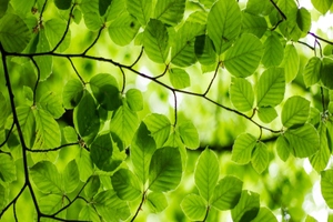 Stancold announces carbon neutral status