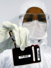 Stem cells: What is in store