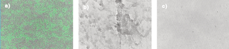 Strategies for biofilm remediation 