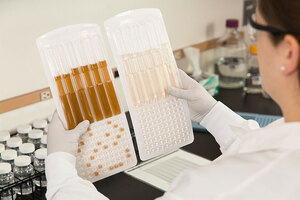 Study backs L. pneumophila detection test Legiolert