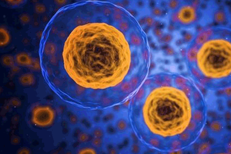 The basics of cell culture: key steps in manufacturing cell therapies
