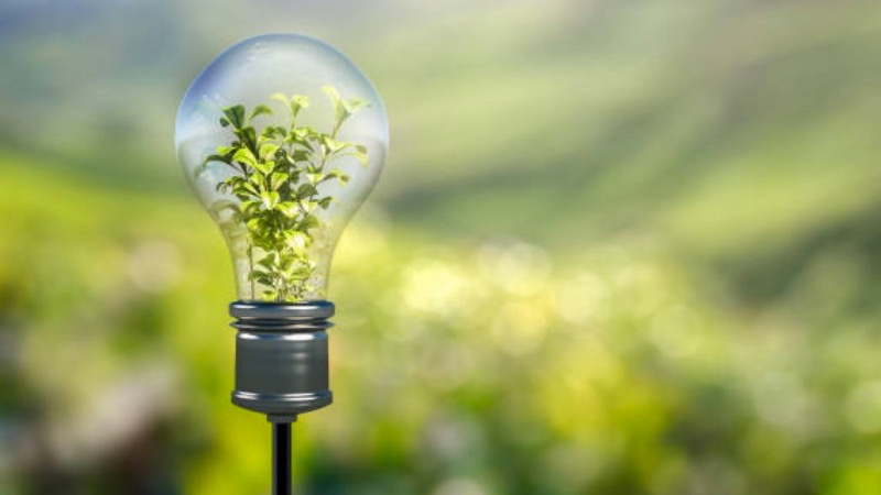 The essential guide to greener, more sustainable laboratories
