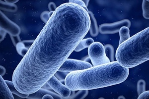 "The future belongs to real-time methods for determining microorganism counts"