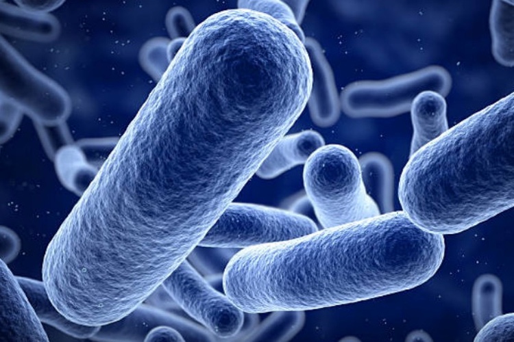 "The future belongs to real-time methods for determining microorganism counts"
