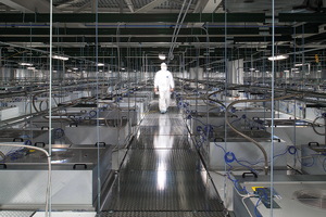 The power of design-assist in cleanroom construction: accelerating time-to-market and mitigating risk