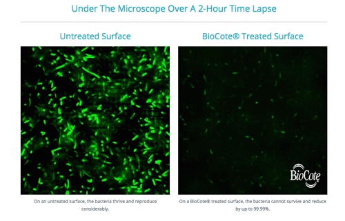 Time lapse video shows antimicrobial surface action on superbugs