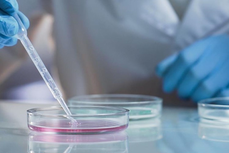 Tissue Regenix plans tissue engineering expansion in Texas