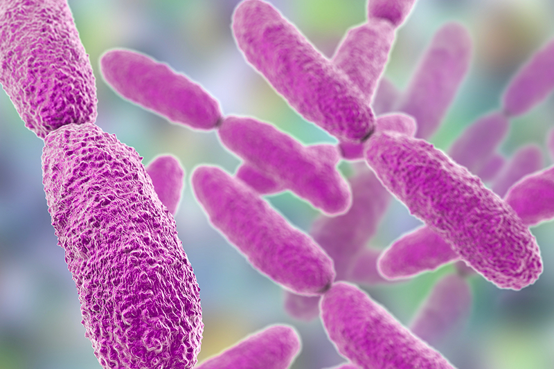 UKHSA announces partnership with PACE collaboration to tackle deadly antimicrobial resistance