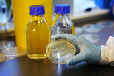 Unigloves launches nitrile glove with antimicrobial protection