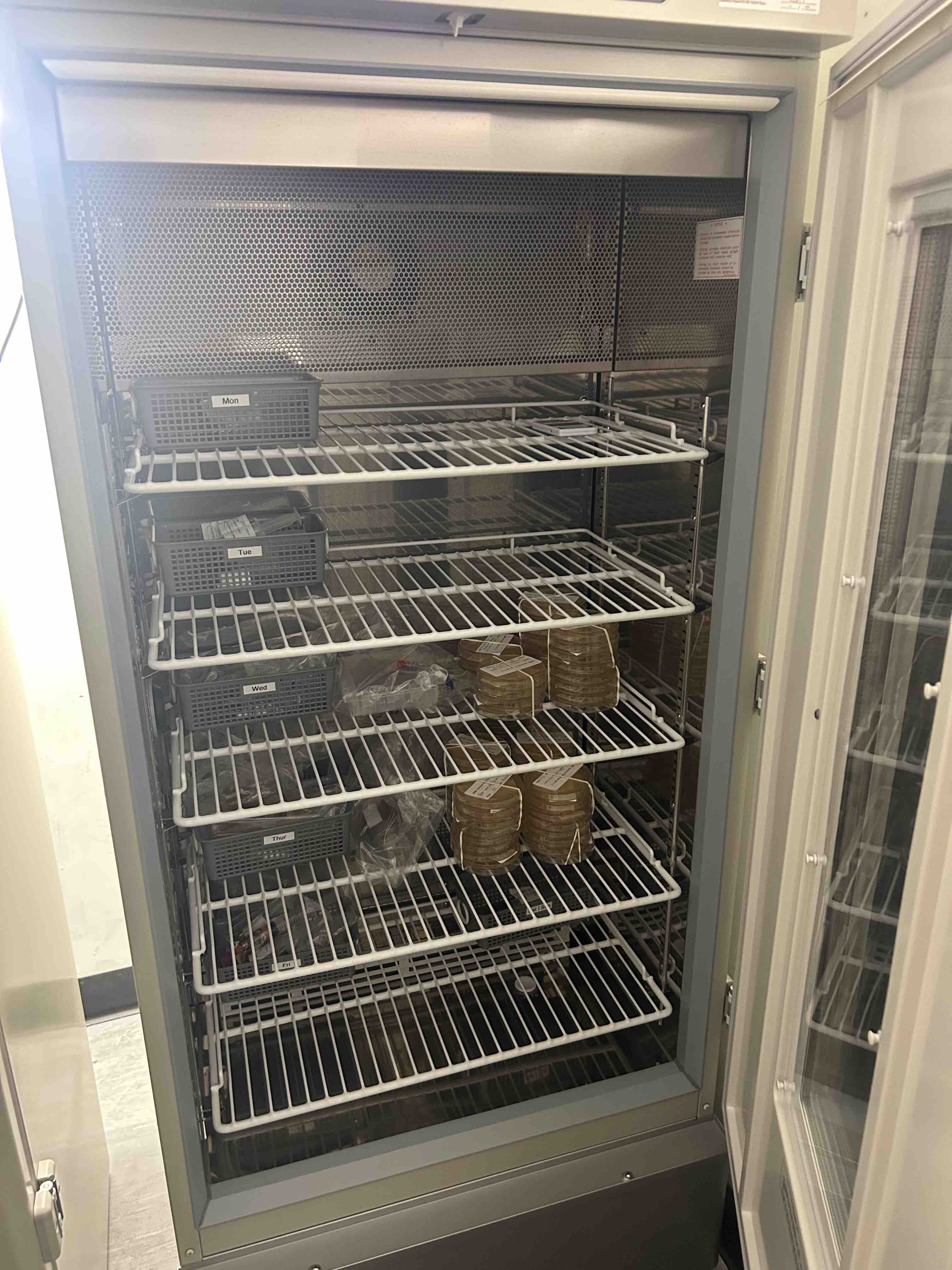The unit's incubator